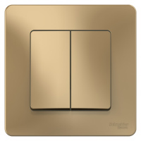 Выключатель 2-клавишный скрытой установки 10A 250B Systeme Electric Blanca Титан