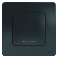 Выключатель 1-клавишный скрытой установки (cхема 1) с подсветкой 10A 250B Systeme Electric Blanca Антрацит