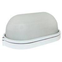 Светильник накладной, овал 280х180х117мм, 100W, Е27, IP54 / белый TDM НПБ