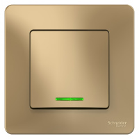 Выключатель 1-клавишный скрытой установки (cхема 1) с подсветкой 10A 250B Systeme Electric Blanca Титан