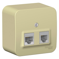 Blanca о/у Розетка двойная: комп.RJ45, кат.5e + телеф. RJ11, изол.пл.,бежевый Systeme Electric