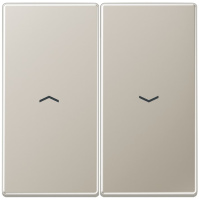 Клавиша 2-ая жалюзийная Jung Cталь