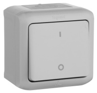 Выключатель 1-клавишный 2-полюсный 10A IP44 Legrand Quteo Серый