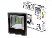 Прожектор светодиодный СДО100-2-Н 100Вт 6500К Серый TDM