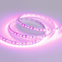 Лента RT 2-5000 12В SMD 3528 120LED/м 9,6Вт/м Arlight LUX Розовый