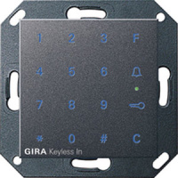 Замок цифровой кодовый Gira System-55 Keyless In Антрацит