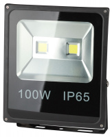 Прожектор светодиодный 335х290мм 100Вт IP65 6500К Черный Эра Стандарт