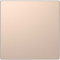 Клавиша 1-ая Merten D-Life Шампань