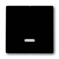 Клавиша для 2-канального светорегулятора 6565 U ABB Solo/Future Антрацит