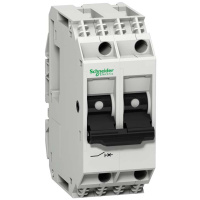 Автоматический выключатель с комбинированным расцепителем 2P.0,5A Schneider Electric