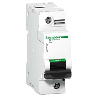 Автоматический выключатель 1P 100A C 10kA Schneider Electric Acti 9