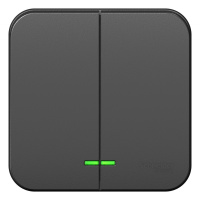 Выключатель 2-клавишный накладного монтажа с подсветкой с изолирующей пластиной 10A 250B Systeme Electric Blanca Антрацит