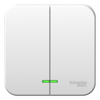 Выключатель 2-клавишный накладного монтажа с подсветкой с изолирующей пластиной 10A 250B Systeme Electric Blanca Белый