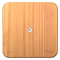 Коробка распределительная накладного монтажа IP42 Systeme Electric Blanca Ясень