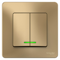 Выключатель 2-клавишный скрытой установки с подсветкой 10A 250B Systeme Electric Blanca Титан