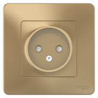 Розетка без заземления со шторками скрытой установки 16A 250В Systeme Electric Blanca Титан