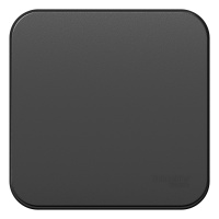 Выключатель 1-клавишный накладного монтажа (cхема 1) с самовозвратом с изолирующей пластиной 10A Systeme Electric Blanca Антрацит