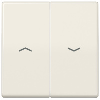 Клавиша жалюзийная 2-ая со стрелками Jung Слоновая кость