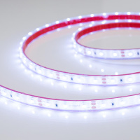 Лента RTW 2-5000PGS 12В SMD 3528 60LED/м 4,8Вт/м Arlight LUX Холодный свет