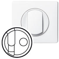 Накладка розетки RJ45 + TV Legrand Celiane Белый