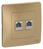 Розетка двойная компьютерная скрытой установки RJ45 кат.5E Systeme Electric Blanca Титан