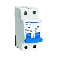 Автоматический выключатель NB1-63H 2P 10A 10кА (C) CHINT