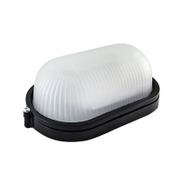 Светильник накладной, овал 280х180х117мм, 100W, Е27, IP54 / черный TDM НПБ