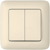 Выключатель 2-клавишный 6A скрытой установки в сборе (DIY) Wessen Прима Слоновая кость