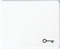 Клавиша 1-ая с символом Ключ Jung Белый