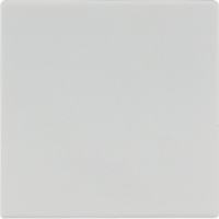 Клавиша 1-ая Jung Светло-серый