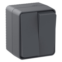 Выключатель 2-клавишный 10 АХ Schneider Electric AtlasDesign Profi54 Антрацит