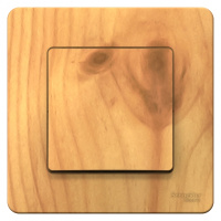 Переключатель 1-клавишный скрытой установки 10A 250B Systeme Electric Blanca Ясень