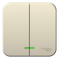 Выключатель 2-клавишный накладного монтажа с подсветкой с изолирующей пластиной 10A 250B Systeme Electric Blanca Молочный