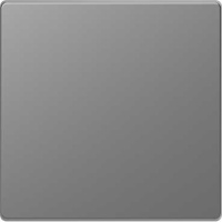 Клавиша 1-ая Merten D-Life Нержавеющая сталь