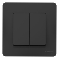 Выключатель 2-клавишный скрытой установки 10A 250B Systeme Electric Blanca Антрацит