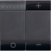 Светорегулятор нажимной для л/л с ЭПРА 600 Вт 1-10 В Bticino Living Light Антрацит