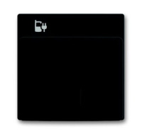 Плата центральная накладка 6478-885 для блока питания micro USB - 6474 U ABB Future Черный бархат