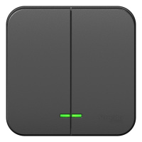 Выключатель 2-клавишный накладного монтажа с подсветкой 10A 250B Systeme Electric Blanca Антрацит