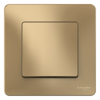 Выключатель 1-клавишный скрытой установки (cхема 1) 10A 250B Systeme Electric Blanca Титан