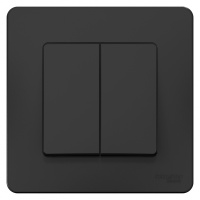 Переключатель 2-клавишный скрытой установки 10A 250B Systeme Electric Blanca Антрацит