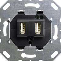 Разъем USB для питания 2-местный Gira System-55 E22 F100
