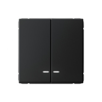 ARTGALLERY 2-клавишный ВЫКЛЮЧАТЕЛЬ с подсветкой, сх.5а, 10АХ, механизм, КАРБОН