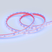Лента RTW 2-5000PGS 12В SMD 3528 60LED/м 4,8Вт/м Arlight LUX Синий