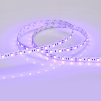 Лента RT 2-5000 12В SMD 5060 60LED/м 14,4Вт/м Arlight LUX Синий