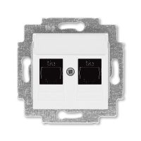 Розетка информационная двойная 2хRJ45 категория 5e белый ABB Levit