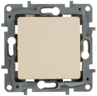 Выключатель 1-клавишный 10A винтовой зажим Legrand Etika Cлоновая кость