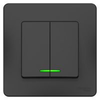 Выключатель 2-клавишный скрытой установки с подсветкой 10A 250B Systeme Electric Blanca Антрацит