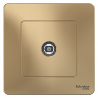 Розетка TV скрытой установки Systeme Electric Blanca Титан