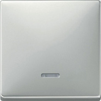 Клавиша 1-ая с линзой подсветки Merten System Design Сталь