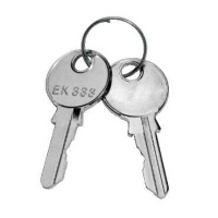Ключ с 2 бородками 3мм Schneider Electric Spacial
